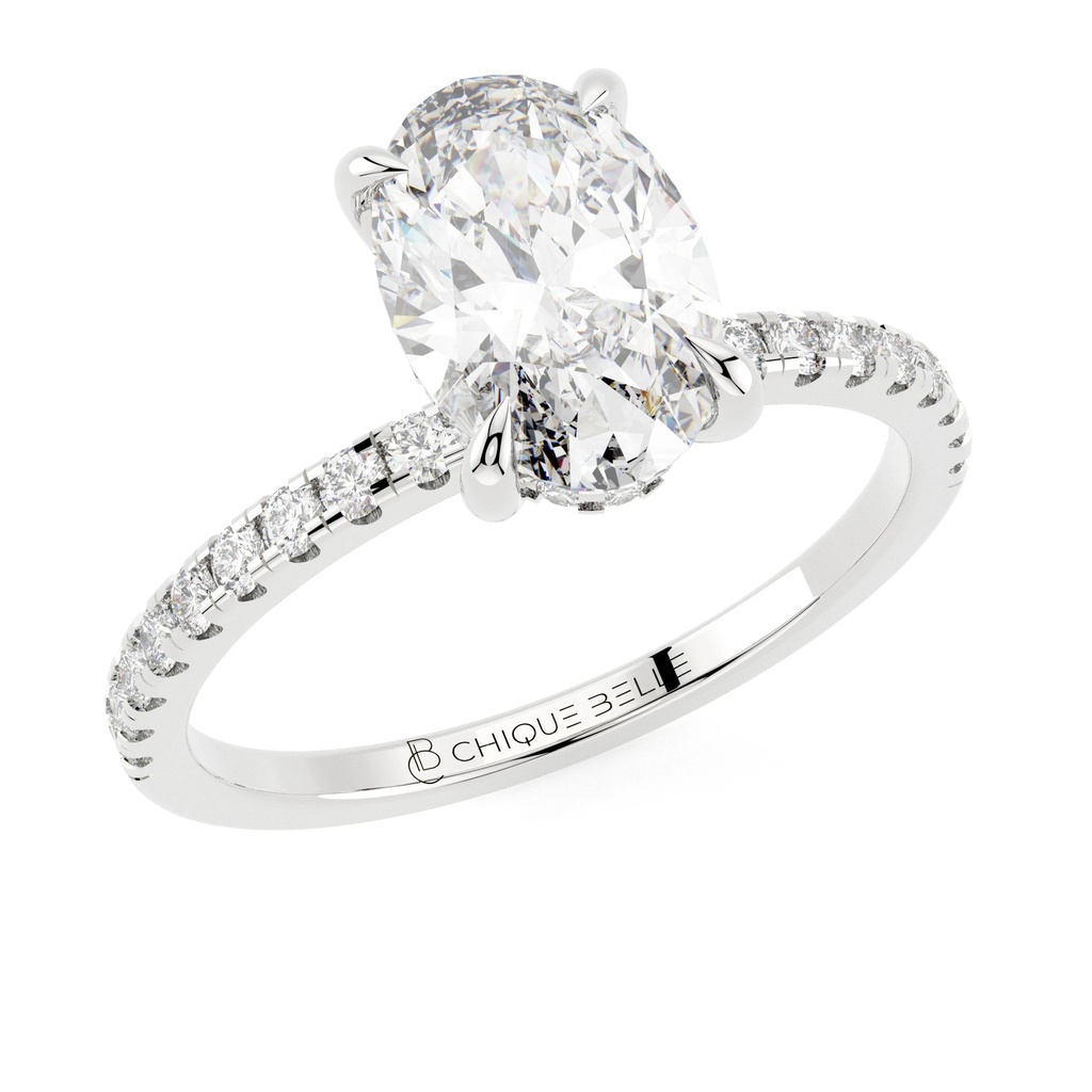 Aster Hidden Halo Diamond Ring