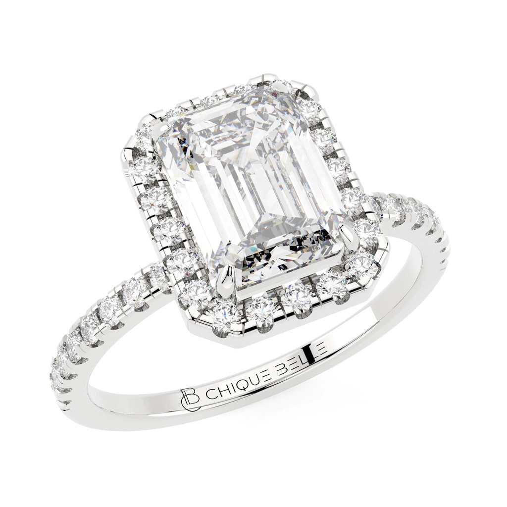 Zinnia Hidden Halo Half Coverage Diamond Ring