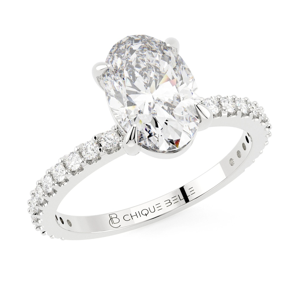 Aster Hidden Halo 3/4 Coverage Diamond Ring