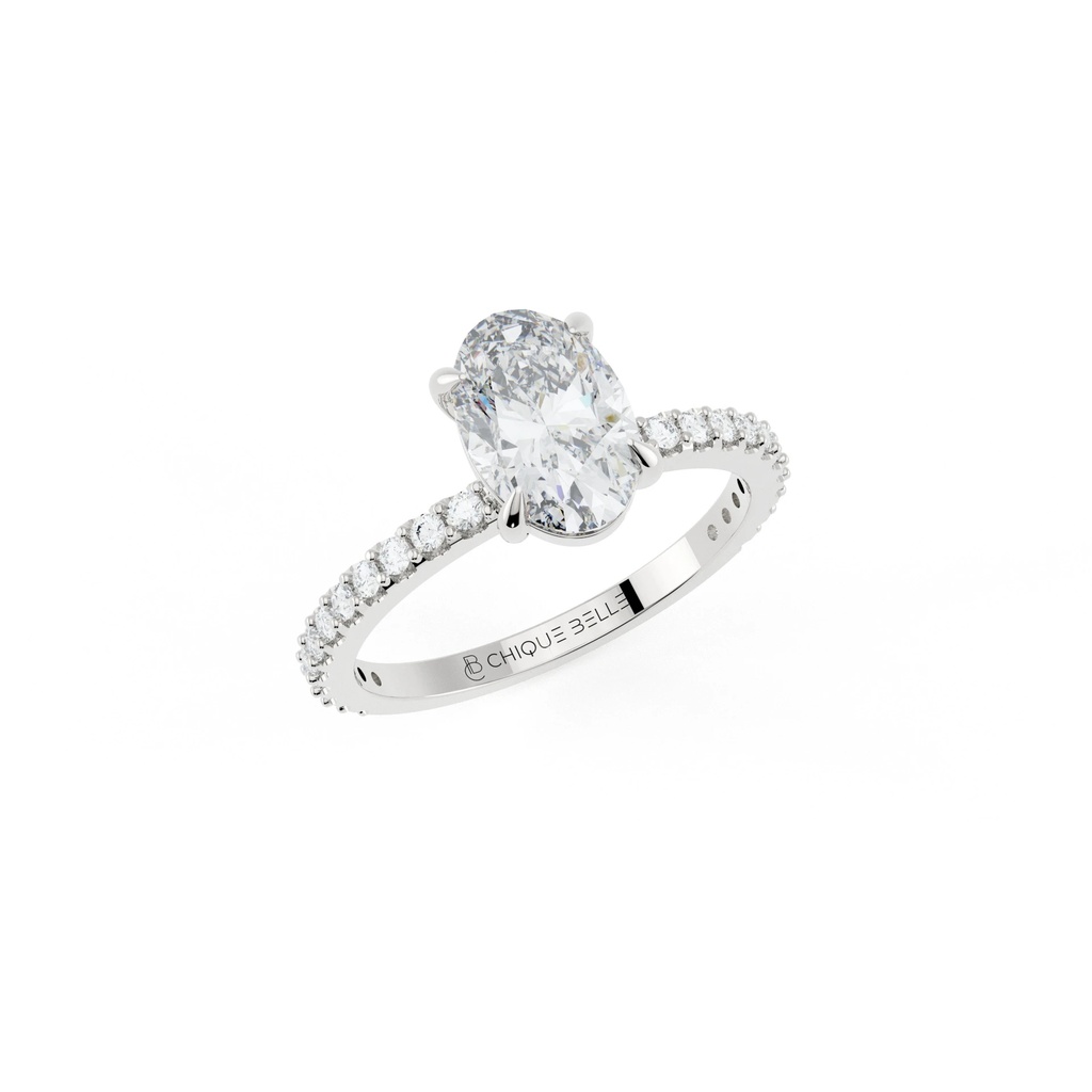 Aster Hidden Halo 3/4 Coverage Diamond Ring