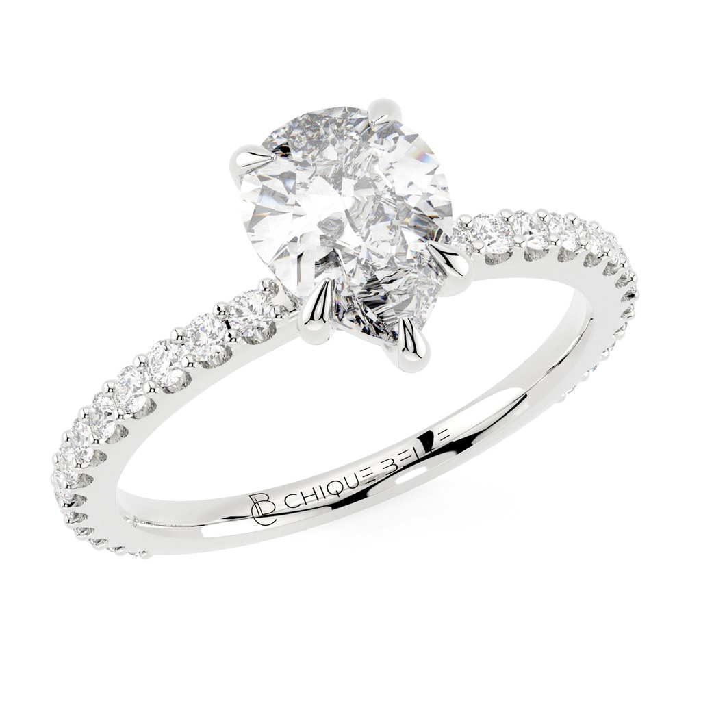 Pairfum Hidden Halo 3/4 Coverage Diamond Ring