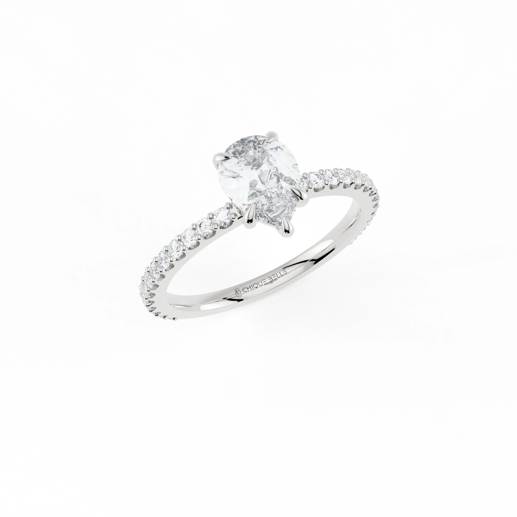 Pairfum Hidden Halo 3/4 Coverage Diamond Ring