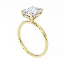 Iris Hidden Halo Diamond Ring
