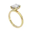 Zinnia Hidden Halo Diamond Ring