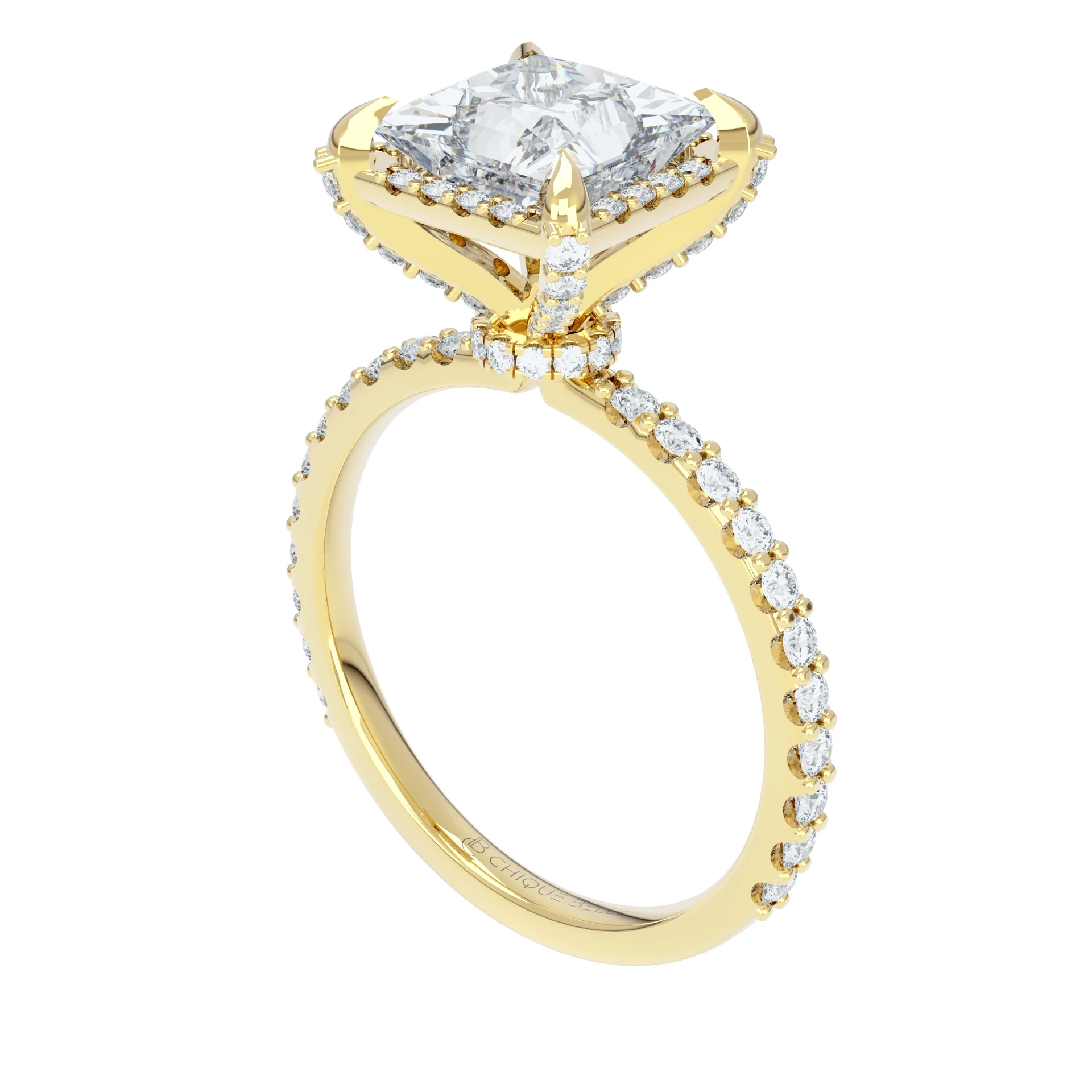 Angrec Halo & Hidden Halo 3/4 Coverage Diamond Ring